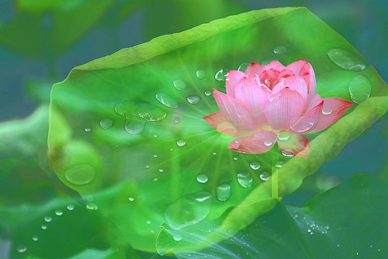 醫(yī)療器械網(wǎng)：失眠該怎么辦？