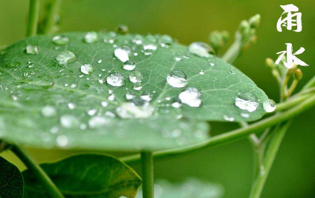 雨水！